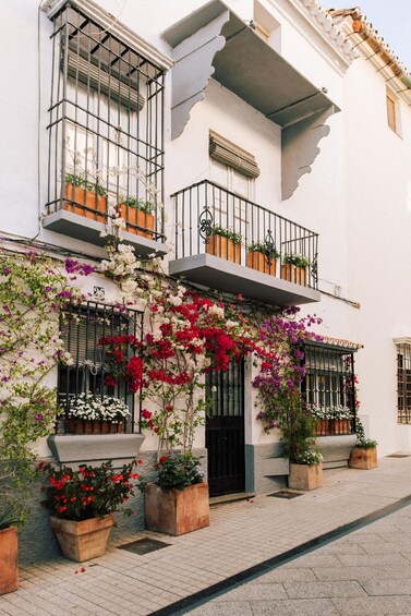 Picture 2 for Activity Marbella Old Town: Group Tour with a True Local