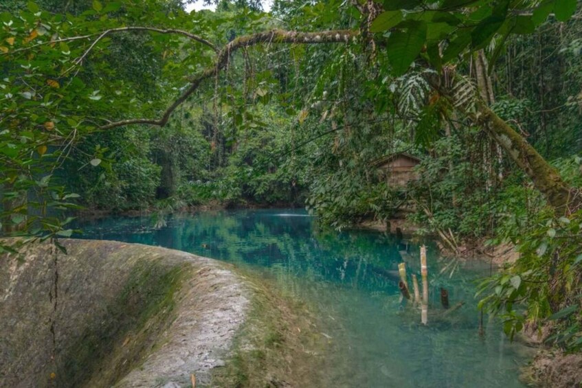 Picture 5 for Activity Moalboal Sardines & Turtle Snorkeling and Kawasan Falls Tour