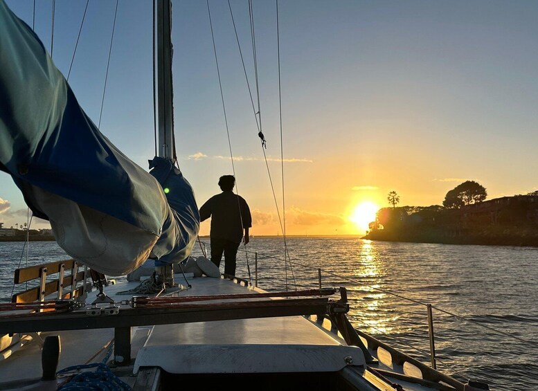 Picture 5 for Activity Dolphin Sighting Sunset Tour