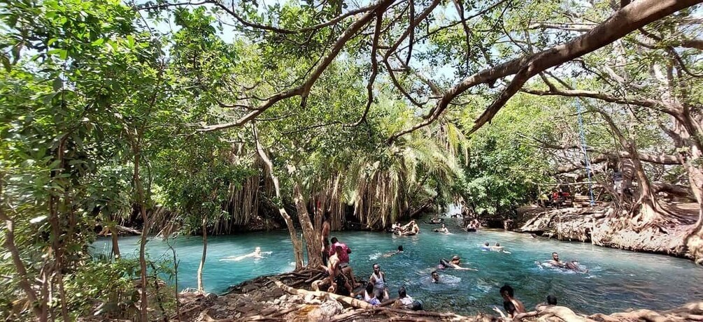 Picture 2 for Activity Kikuletwa Hotspring Day Trip