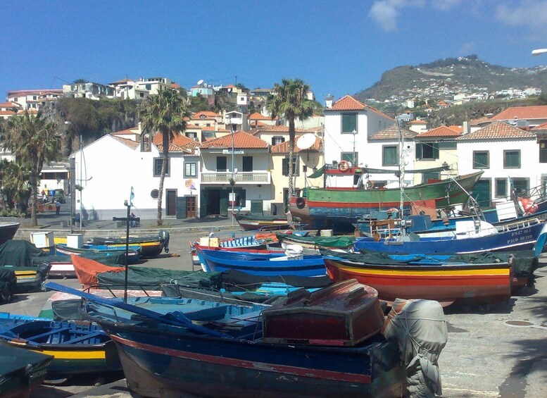 Picture 4 for Activity From Funchal: West Madeira Waterfalls and Fanal Forest Tour