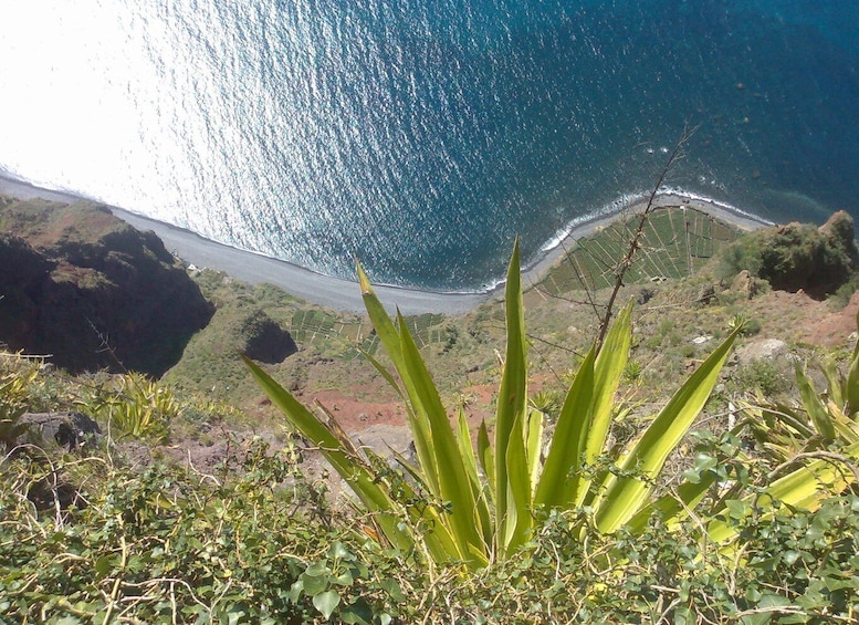 Picture 12 for Activity From Funchal: West Madeira Waterfalls and Fanal Forest Tour