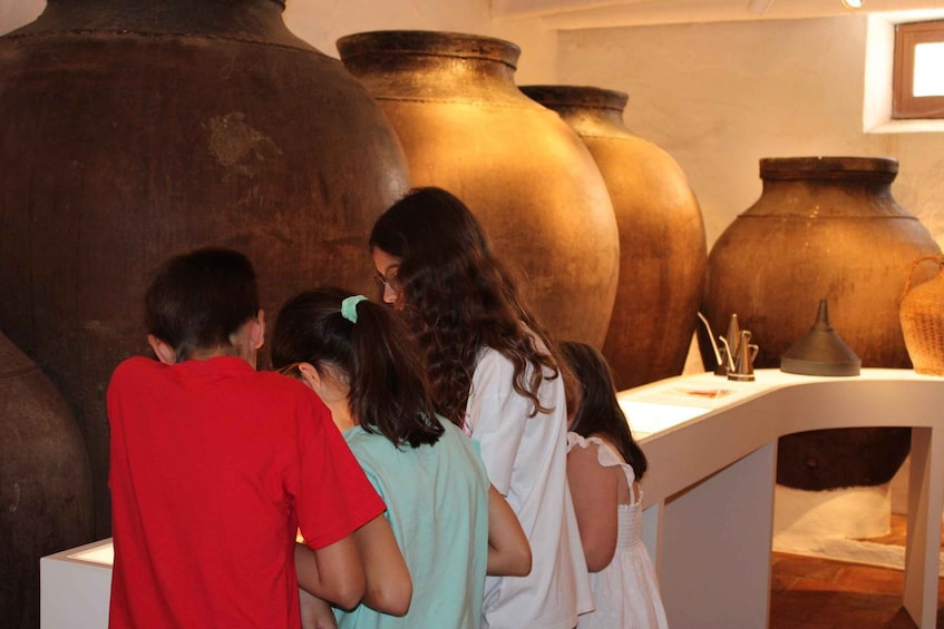 Picture 1 for Activity Borba: Winery and Amphora Wine Tour and Tasting