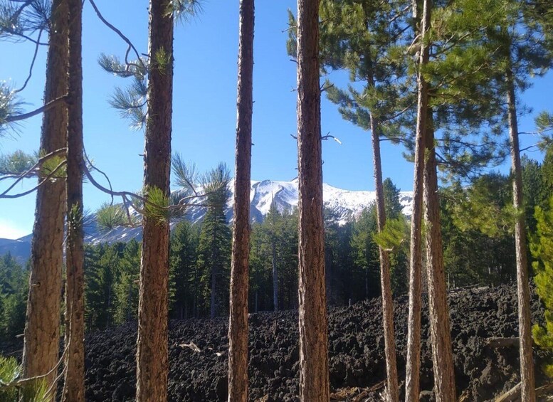 Picture 1 for Activity Small group Etna walking tour and visit to a lava cave