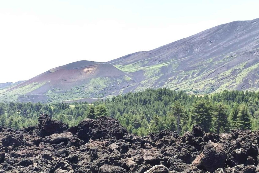 Picture 3 for Activity Etna walking tour and visit to a lava cave
