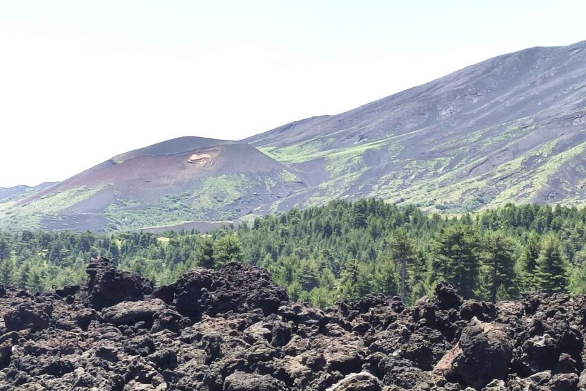 Picture 3 for Activity Small group Etna walking tour and visit to a lava cave