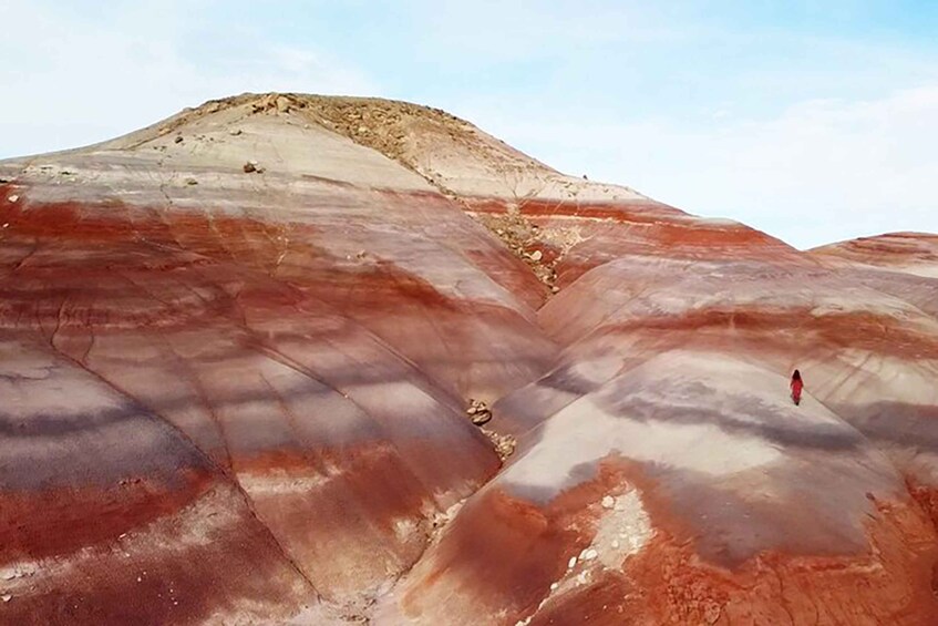 Picture 2 for Activity Utah: Bentonite Hills 3-Hour Off-Road Tour