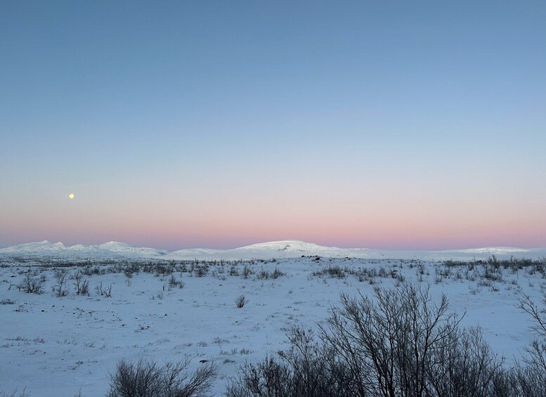 Picture 1 for Activity Explore Abisko by Day: Hike Around Lapland’s Landscapes!