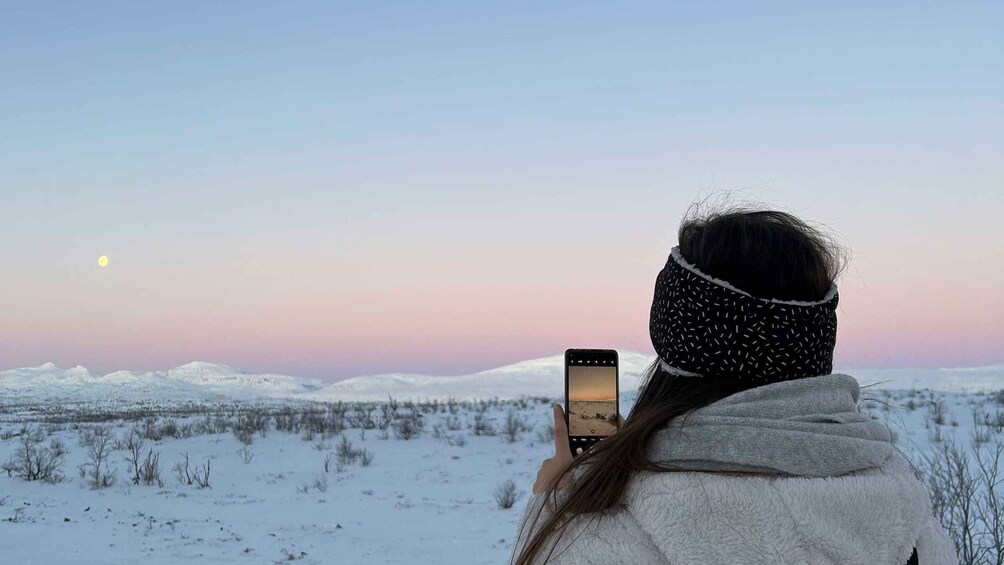 Picture 3 for Activity Explore Abisko by Day: Hike Around Lapland’s Landscapes!