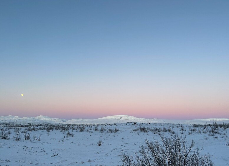 Picture 1 for Activity Abisko: Guided Sunrise Morning Hike with Hot Chocolate