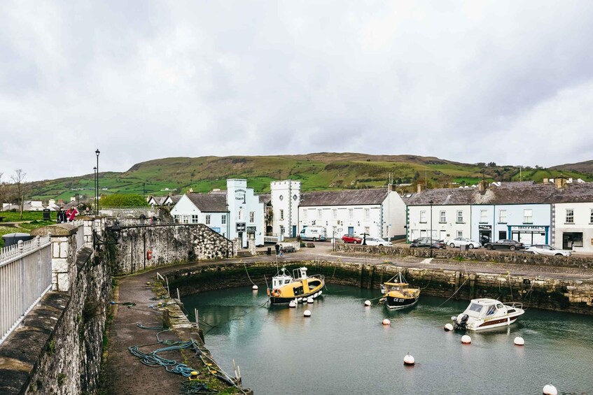 Picture 6 for Activity From Belfast: Giant's Causeway Full-Day Guided Trip