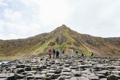 De Belfast : Excursion guidée d’une journée sur la chaussée des géants