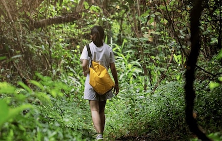 Huatulco : randonnée dans le parc national et plongée en apnée