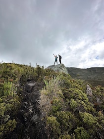 Private tour, Siecha Lakes on Chingaza's Paramo from Bogota