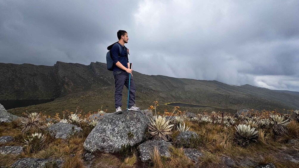 Picture 40 for Activity Private tour, Siecha Lakes on Chingaza's Paramo from Bogota