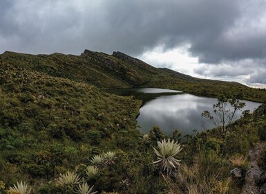 Private tour, Siecha Lakes on Chingaza's Paramo from Bogota