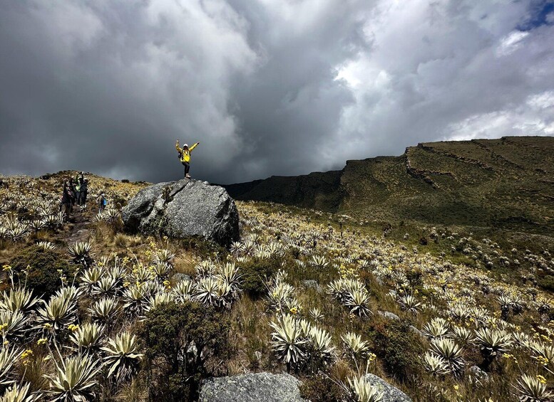 Picture 4 for Activity Private tour, Siecha Lakes on Chingaza's Paramo from Bogota