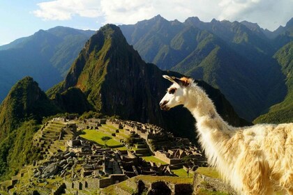 Jelajahi Machu Picchu: Tur Kelompok Berpemandu Situs Bersejarah