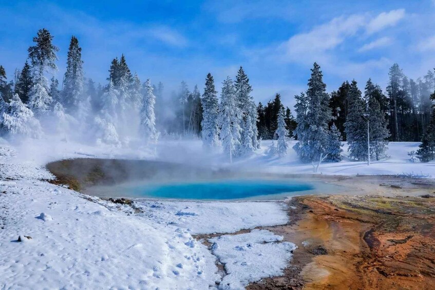 Picture 3 for Activity 5-Day Winter Yellowstone Wildlife Tour