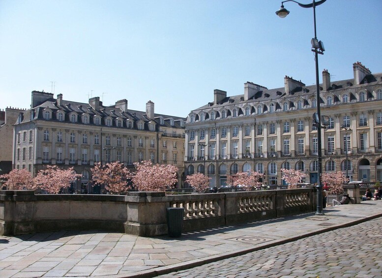 Rennes: Private Guided Walking Tour