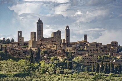 Visita Privada a Pie de San Gimignano