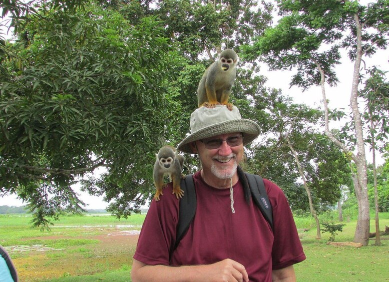 Picture 3 for Activity From Iquitos || Excursion to the Monkey Island Full Day ||