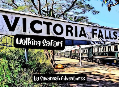 Victoria Falls: Kurze Buschwanderung + Tour durch die Stadt Vic Falls