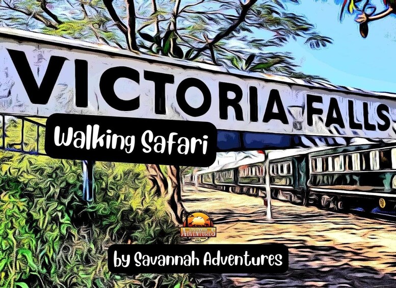 Victoria Falls: Short Bush Walk + Tour of Vic Falls Town