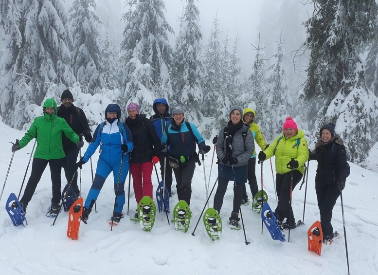 Fichtelgebirge: snowshoe hike