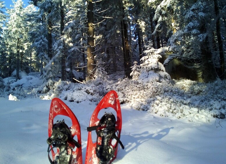 Picture 3 for Activity Fichtelgebirge: snowshoe hike