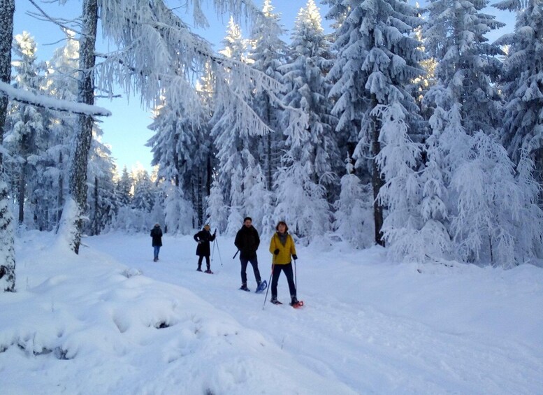 Picture 1 for Activity Fichtelgebirge: snowshoe hike