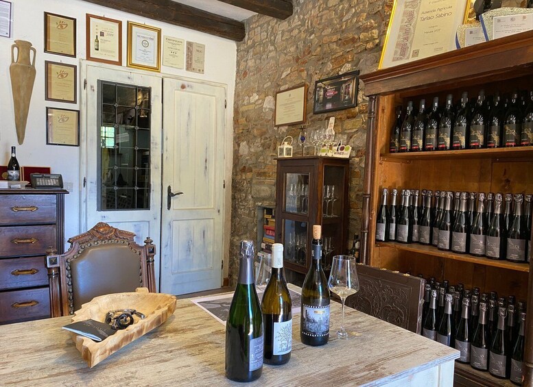 Picture 3 for Activity Aquileia: Winery Tour and Tasting