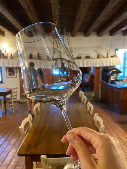 Picture 2 for Activity Aquileia: Winery Tour and Tasting