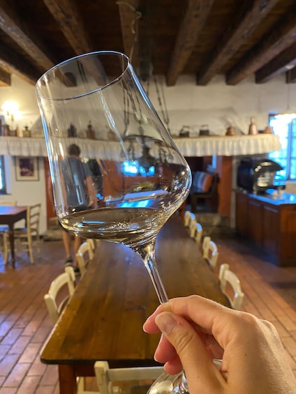 Picture 2 for Activity Aquileia: Winery Tour and Tasting