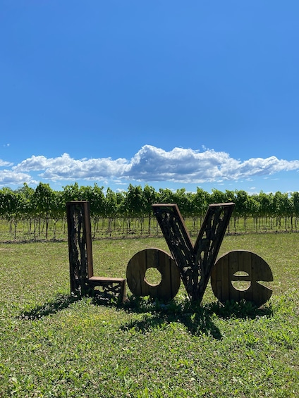 Picture 8 for Activity Aquileia: Winery Tour and Tasting