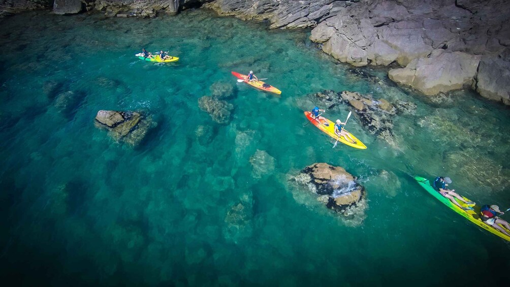 Picture 7 for Activity Sea kayak tour: Sète, the French pearl of the Mediterranean