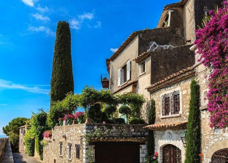 Picture 1 for Activity Private Customized French Riviera Tour from Port Villefranch