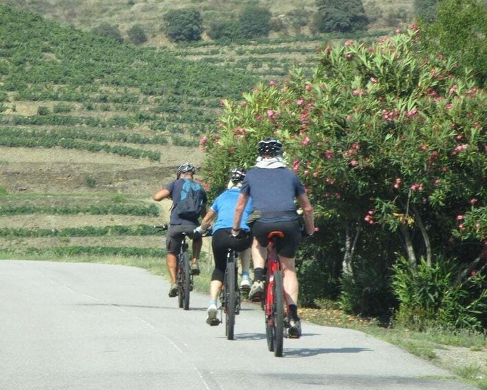 Picture 4 for Activity E-MTB - Vineyards Douro Tour