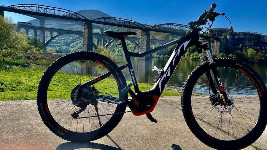 E-MTB - Vineyards Douro Tour