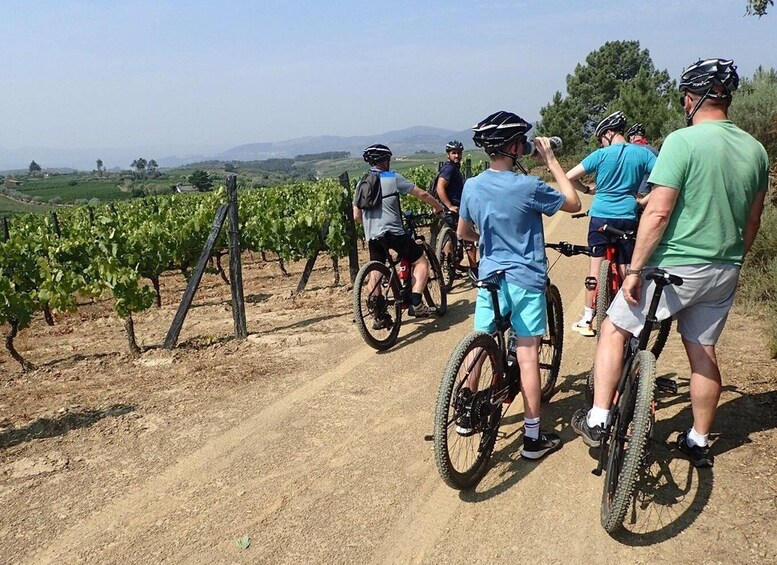 Picture 2 for Activity E-MTB - Vineyards Douro Tour