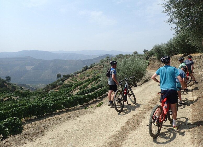 Picture 3 for Activity E-MTB - Vineyards Douro Tour