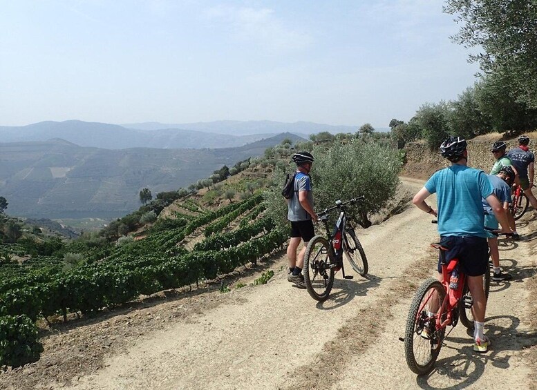 Picture 3 for Activity E-MTB - Vineyards Douro Tour