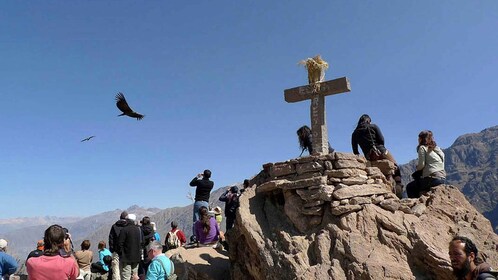 Chivay + utsiktspunktet til Colca Canyon |Condors|