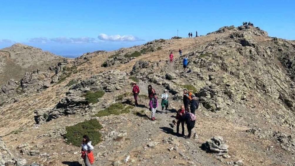 Monte Ferru: Trekking in Sa Perda Stampata