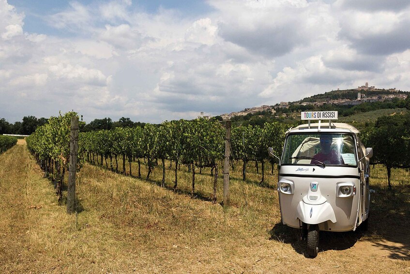 Picture 1 for Activity Wine Tour Spello in Tuk Tuk