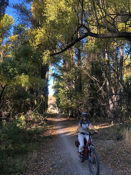 Picture 2 for Activity ebike tour lake Hawea river track to Wanaka