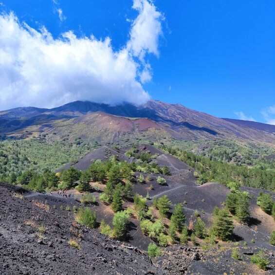 Picture 3 for Activity Etna Morning Tour, caves and craters