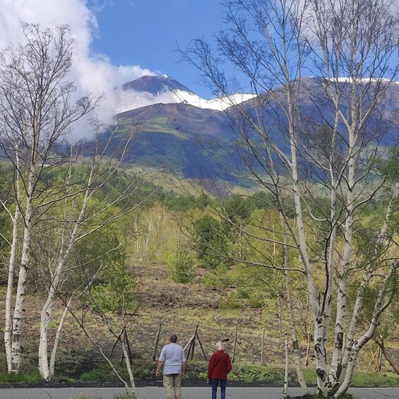 Picture 8 for Activity Etna Morning Tour, caves and craters