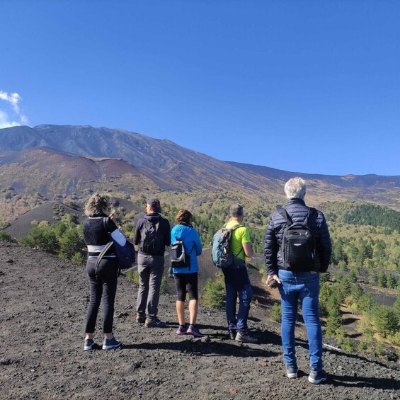 Picture 1 for Activity Etna Morning Tour, caves and craters