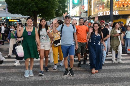 Tokyo Full Day Private Friendly All-inclusive Tour with Host